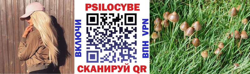 сайты даркнета какой сайт hydra Богучар купить наркотик Галлюциногенные грибы мицелий